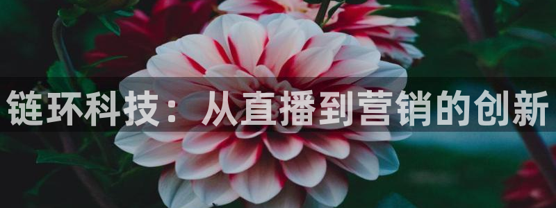 金年会App官方下载
