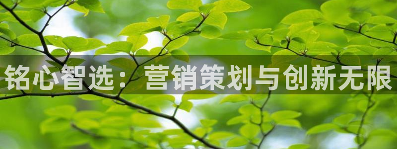 金年会网站平台怎么样