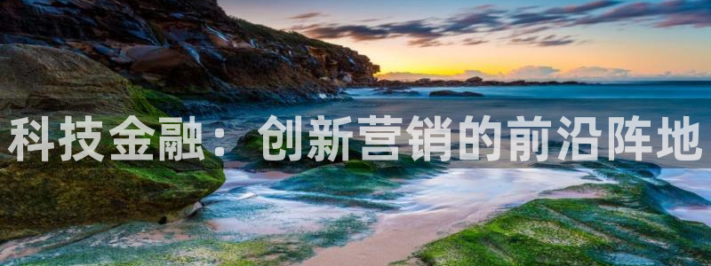 金年会官方新入口：科