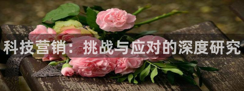 金年会体育电子登录入口