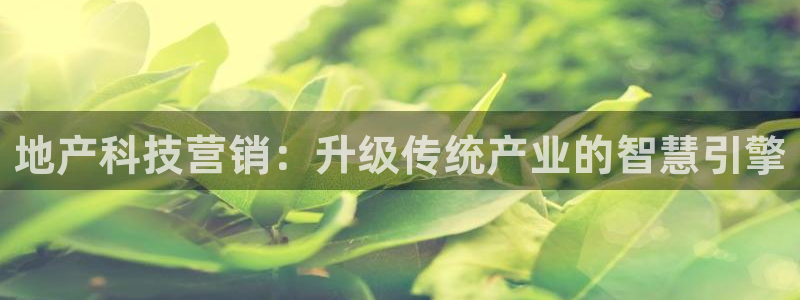 jinnianhui金年会世界杯