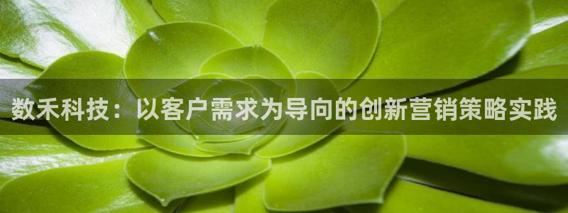 金年会官方入口首页