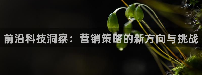 金年会体育诚信