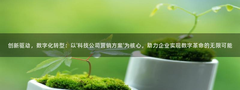 金年会黑平台不给出款