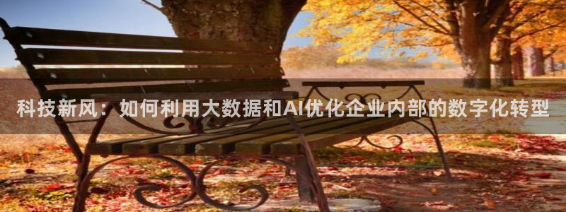 金年会体育app：科