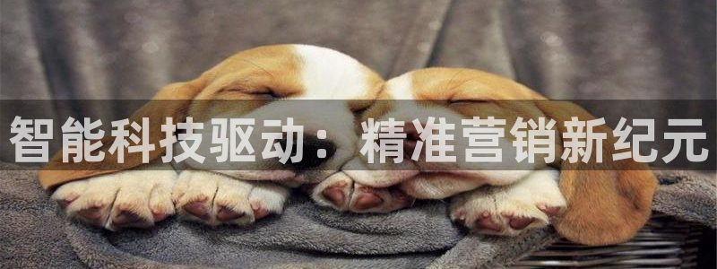 金年会金字照片诚信至上