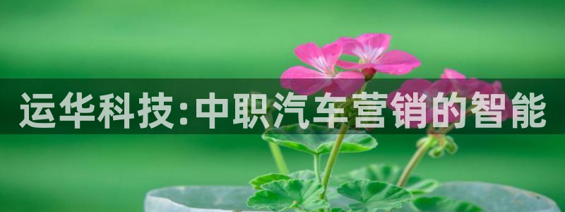 金年会体育网址是多少