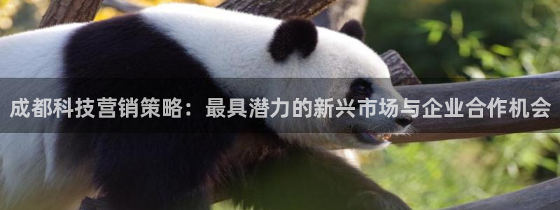 金年会app平台有人玩过吗安全吗