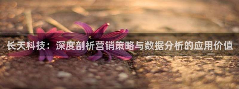 金年会官方网站入口网址