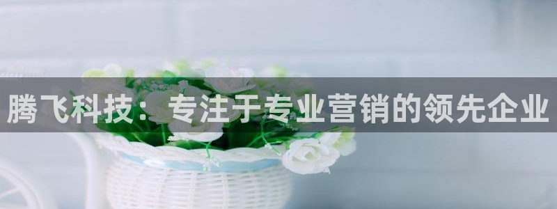 金年会官方登录入口手机版下载