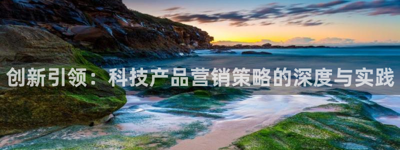 金年会官方下载