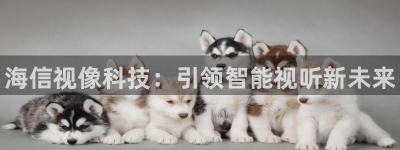 金年会体育注册