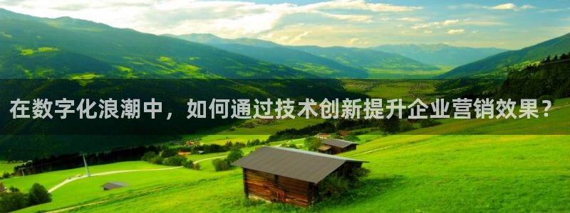 金年会体育黑