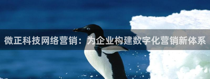 金年会官方在线入口网站2023