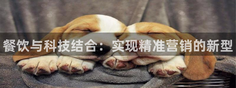 金年会体育官网登录入口