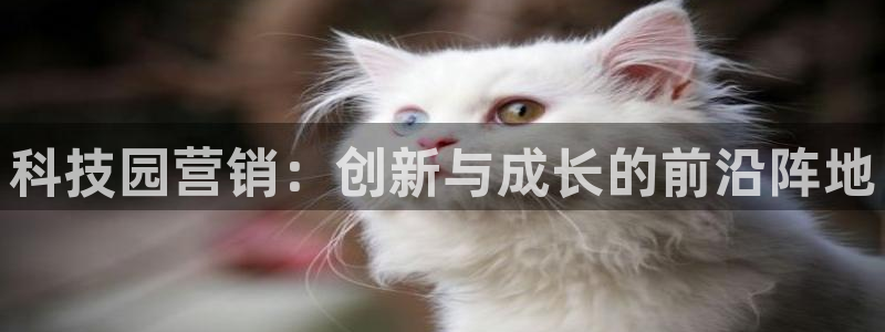 金年会ios版下载安装