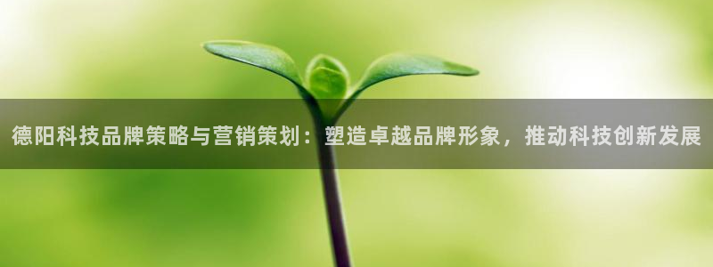 金年会体育电脑客户端登录