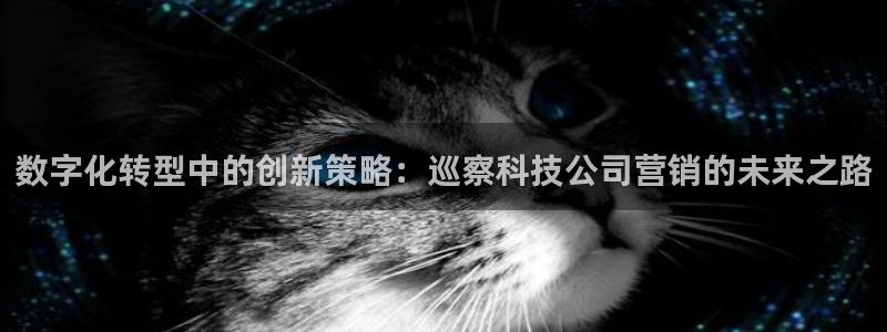 金年会体育平台注册