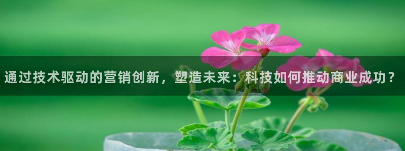 金年会荣誉至上