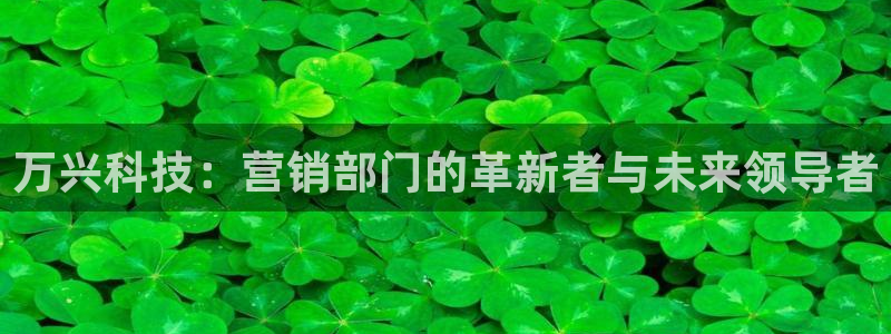 金年会体育是诈骗