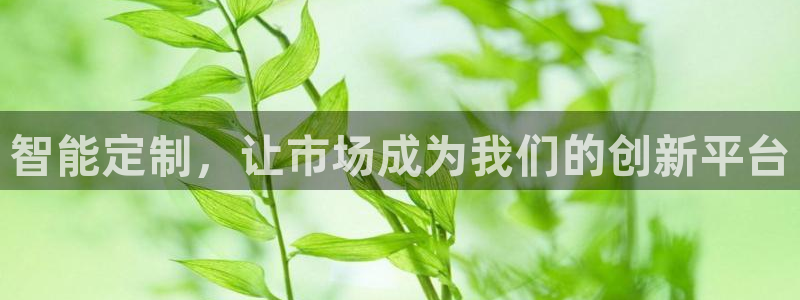 金年会在线入口登录