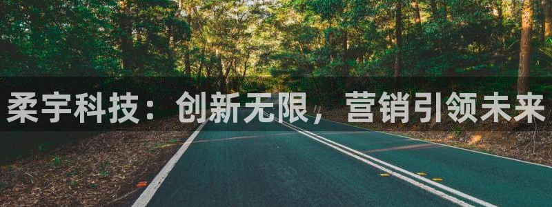 金年会体育平台怎么样