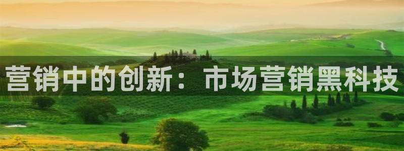金年会网站事件后果