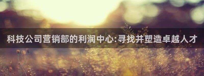 金年会体育如何