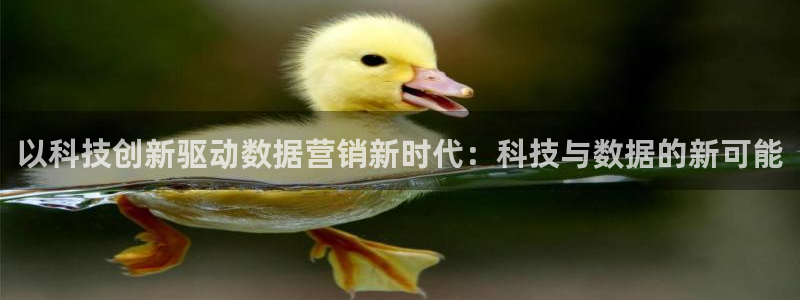 金年会官方娱乐app下载