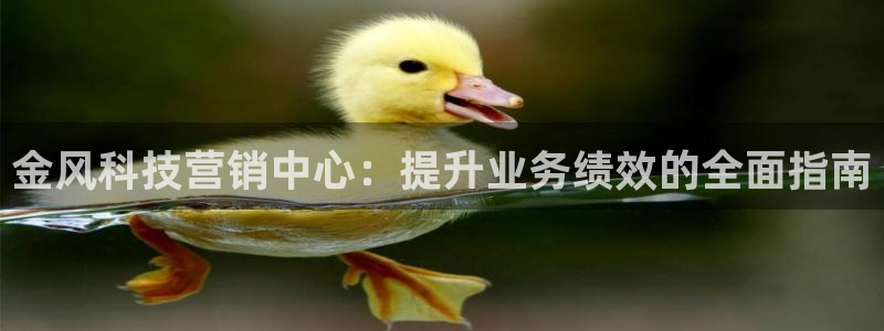 金年会体育网址登录