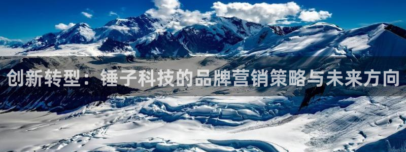 金年会体育网页登录