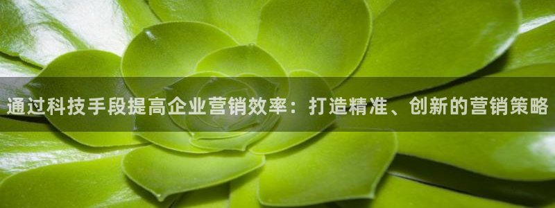 金年会体育注册