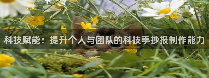 金年会金字招牌是什么意思