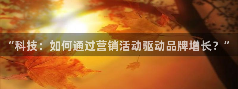 金年会体育下载APP