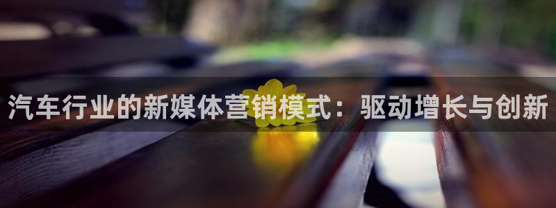 金年会网站下载