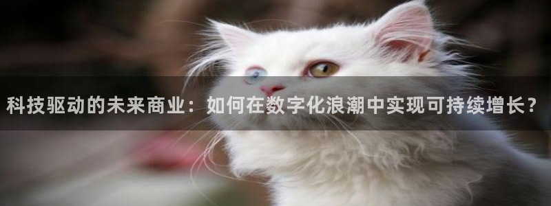 金年会vip网页版在线登录入口官网