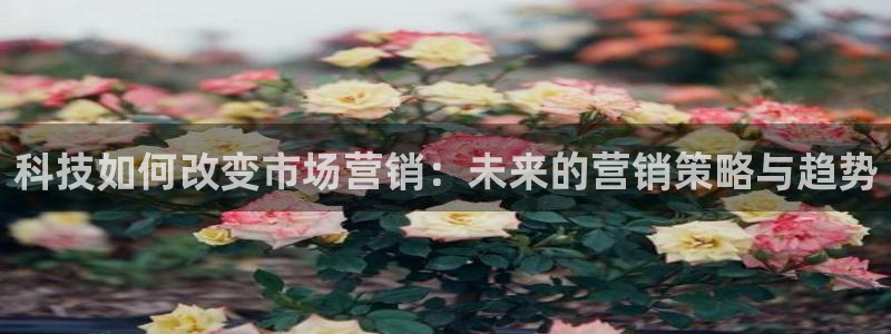 金年会官方网站登录