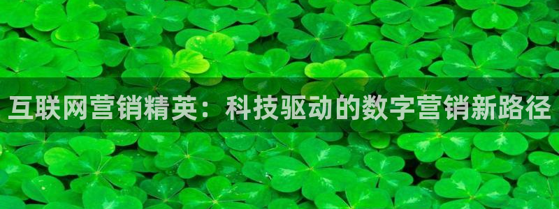 金年会网址导航在线播放