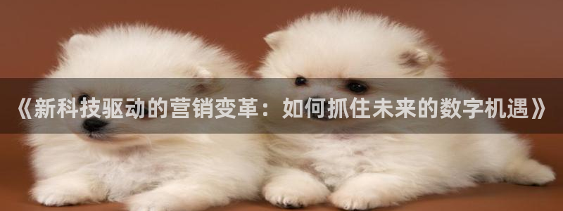 金年会体育苹果下载app