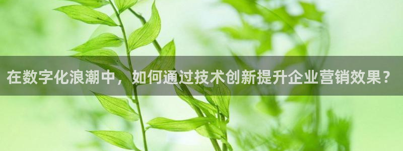 金年会网站登录