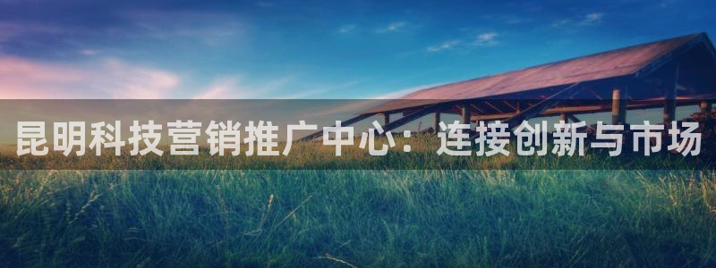 金年会赌博官网