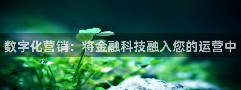 金年会体育电子官方网站