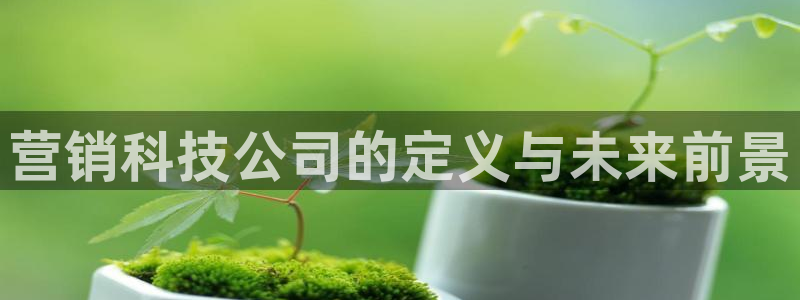 金年会体育官方入口