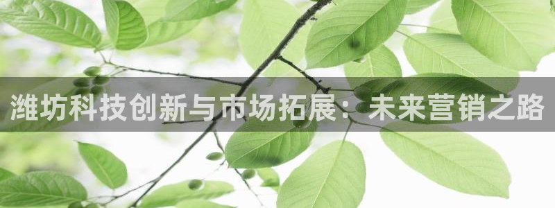 金年会金字招牌至上用了多少钱?