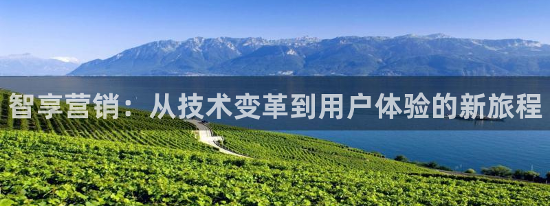 金年会体育合法吗