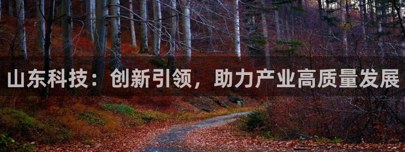 金年会vip打开网络异常怎么办