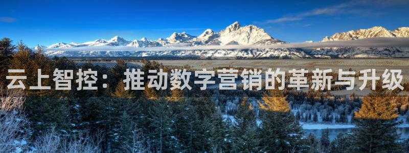 金年会会不会提不了款