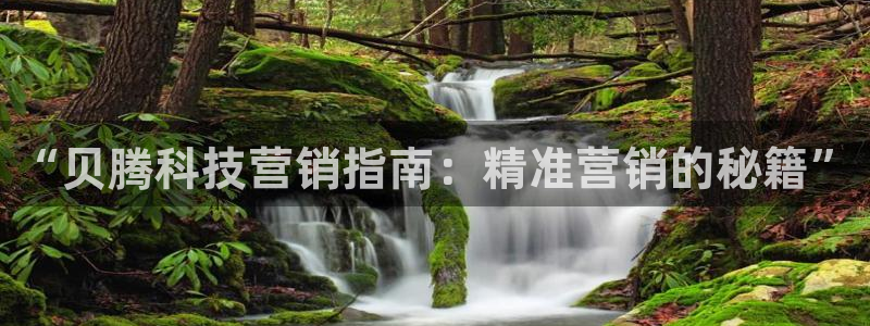 金年会电子官网下载