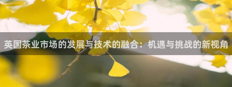 金年会官方下载app