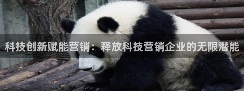 金年会体育网址登录